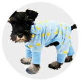 Dog jumpers